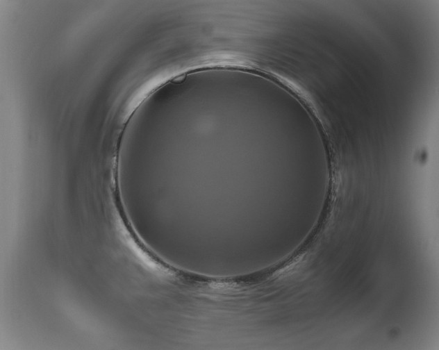 X0000110991383200906191417