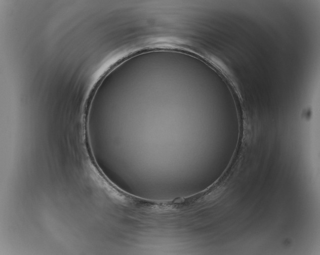 X0000110991384200906191417