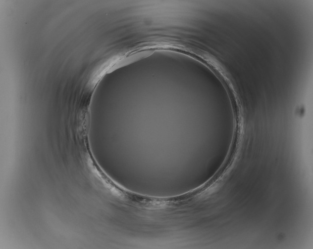 X0000110991385200906191417