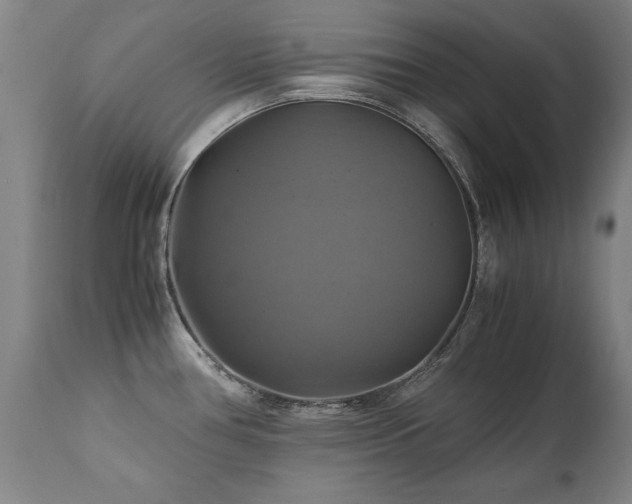 X0000110991386200906191417