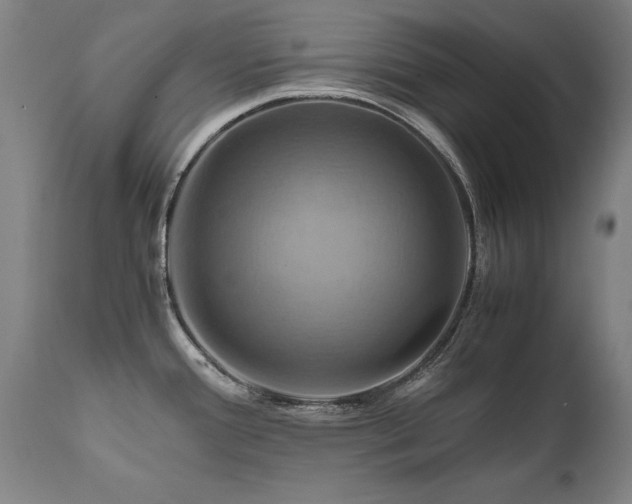 X0000110991388200906191417