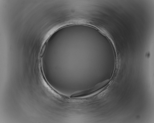 X0000110991389200906191417