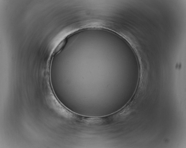 X0000110991392200906191417