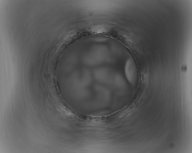 X0000110991393200906191416