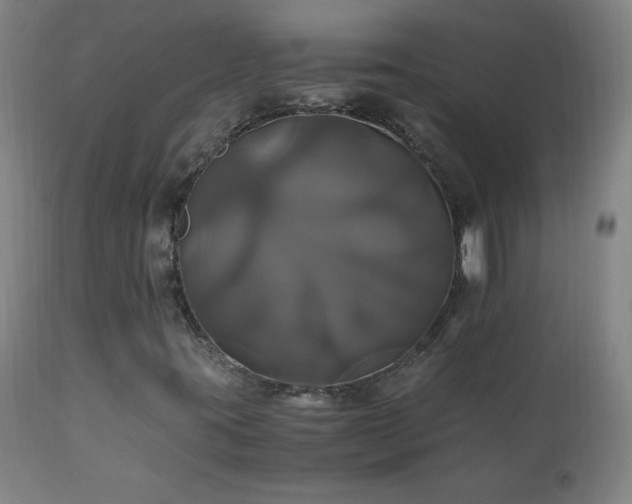 X0000110991395200906191416