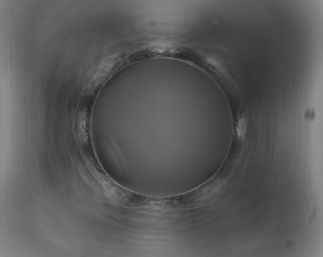X0000110991396200906191416