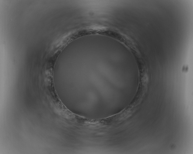 X0000110991397200906191416