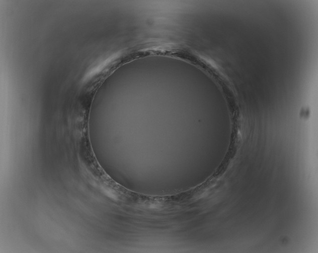 X0000110991399200906191416
