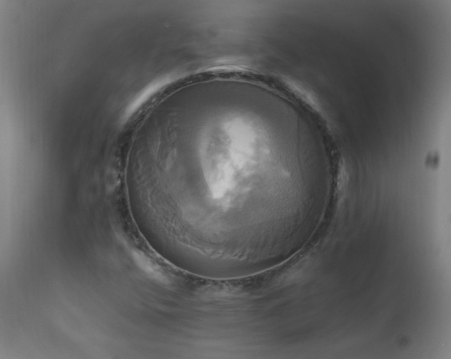 X0000110991400200906191416