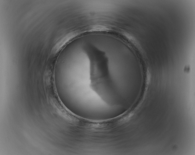 X0000110991401200906191416