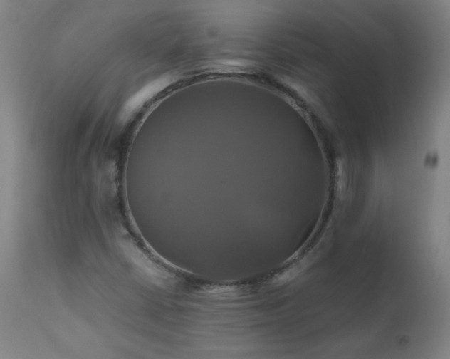 X0000110991402200906191416