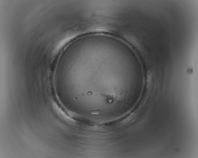 X0000110991404200906191416