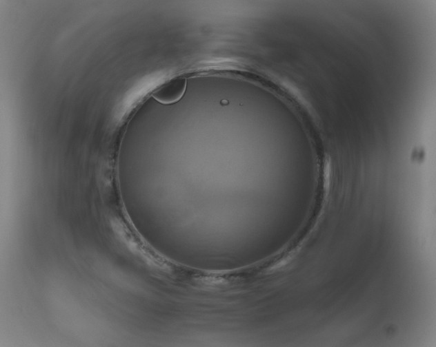 X0000110991405200906191416