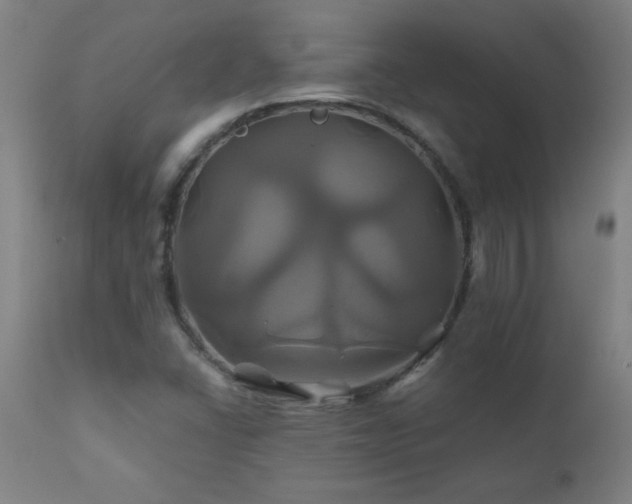 X0000110991406200906191416