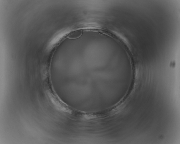 X0000110991407200906191416