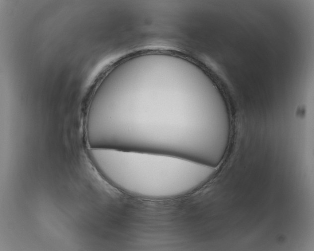 X0000110991408200906191416