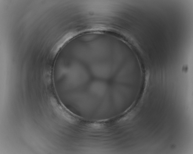 X0000110991409200906191416