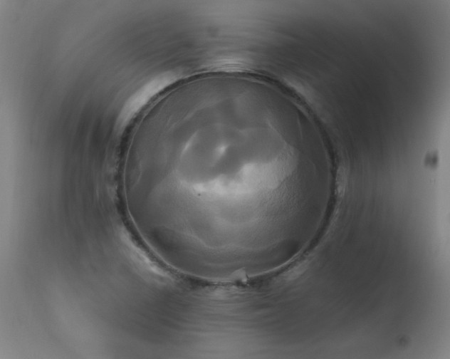 X0000110991410200906191416