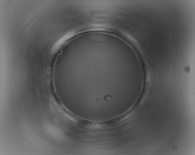 X0000110991411200906191416
