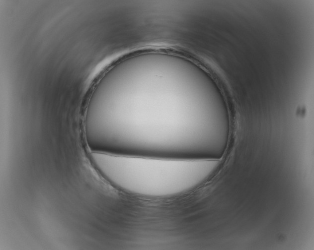 X0000110991412200906191416