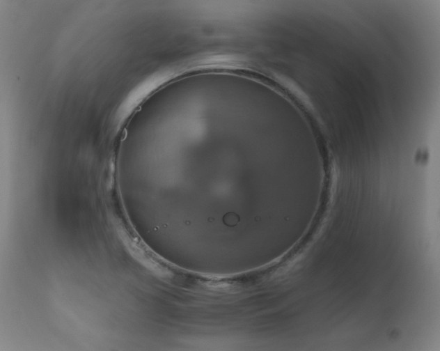 X0000110991413200906191416