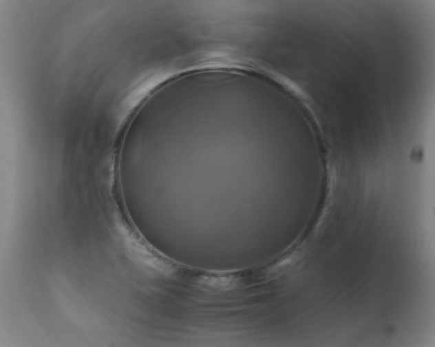 X0000110991415200906191416