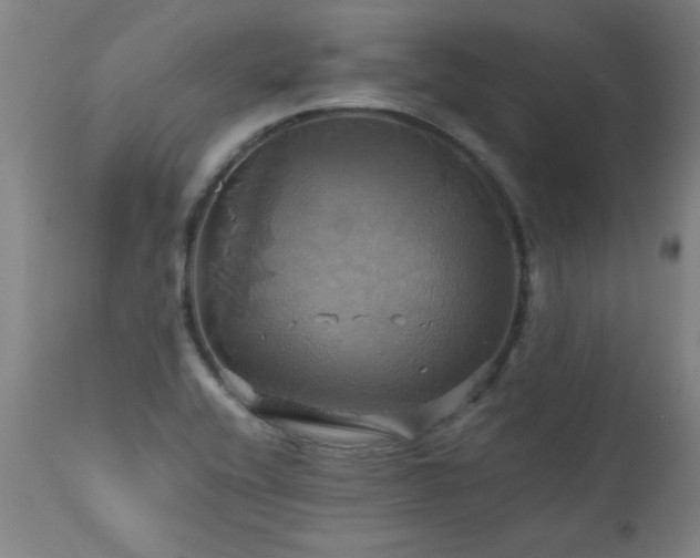 X0000110991416200906191416