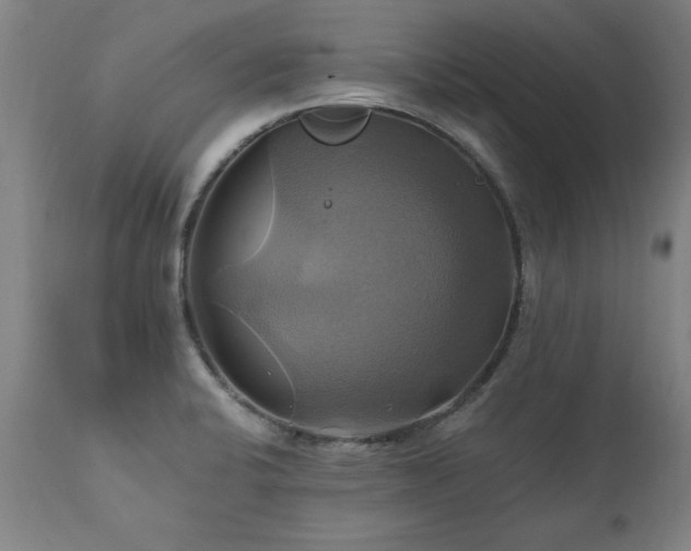 X0000110991424200906191416