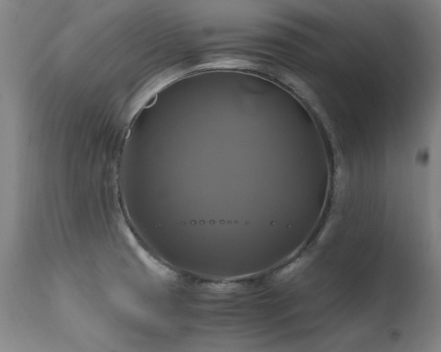 X0000110991425200906191417