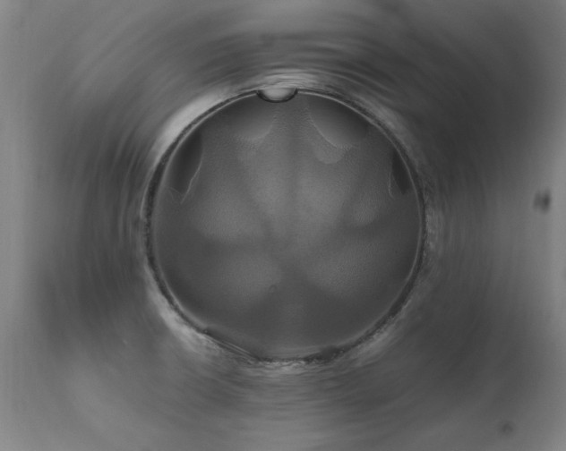X0000110991426200906191417