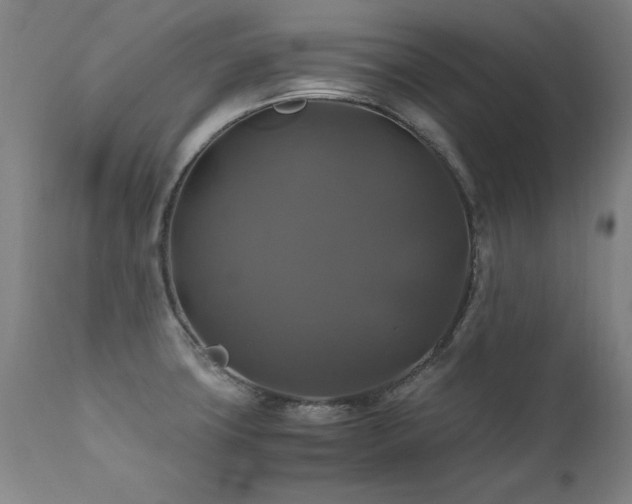 X0000110991427200906191417