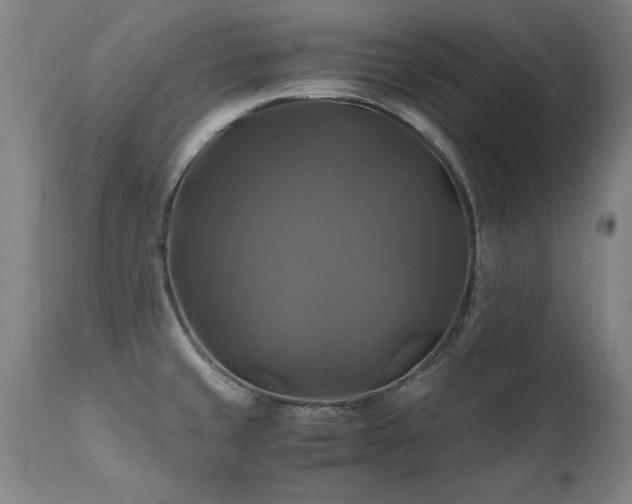 X0000110991429200906191417