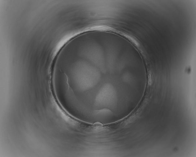 X0000110991430200906191417