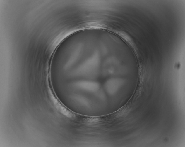 X0000110991431200906191417