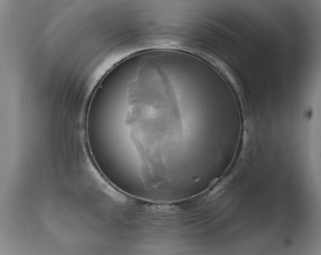 X0000110991432200906191417