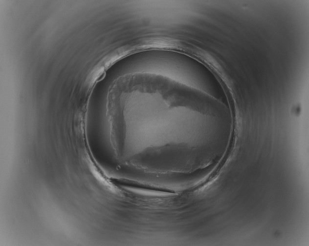 X0000110991433200906191417