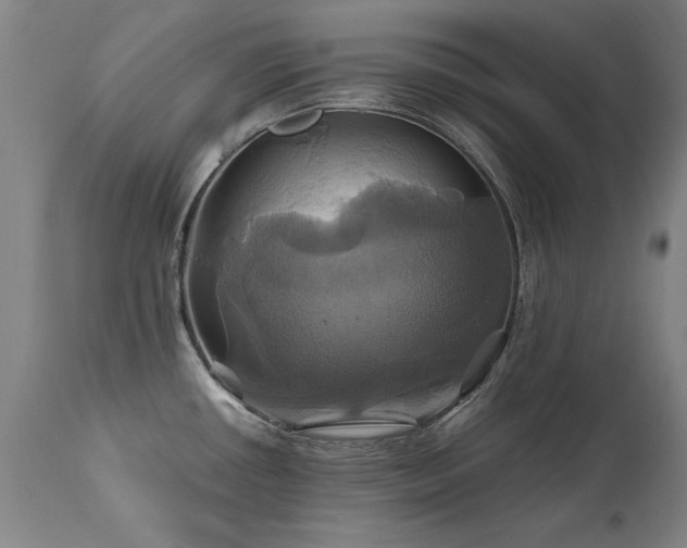X0000110991434200906191417