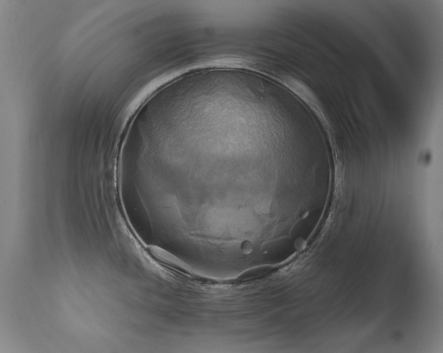 X0000110991436200906191417