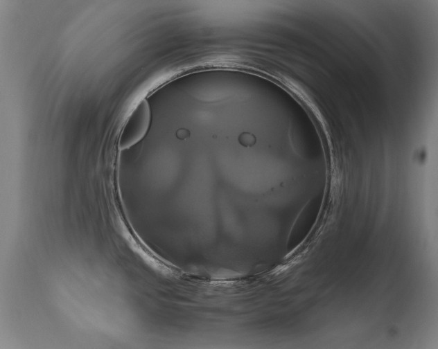 X0000110991437200906191417