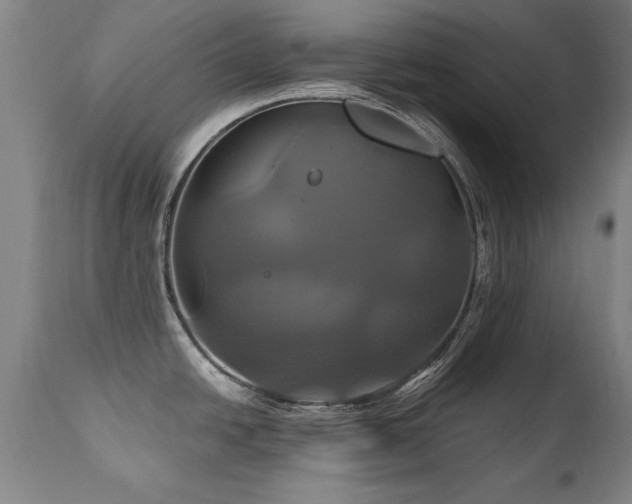 X0000110991438200906191417