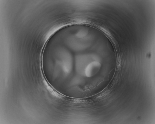 X0000110991439200906191417
