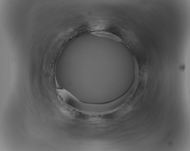 X0000110991441200906191416