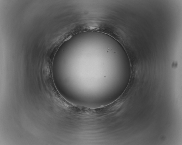 X0000110991442200906191416