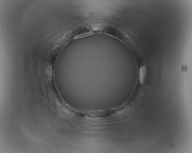 X0000110991443200906191416