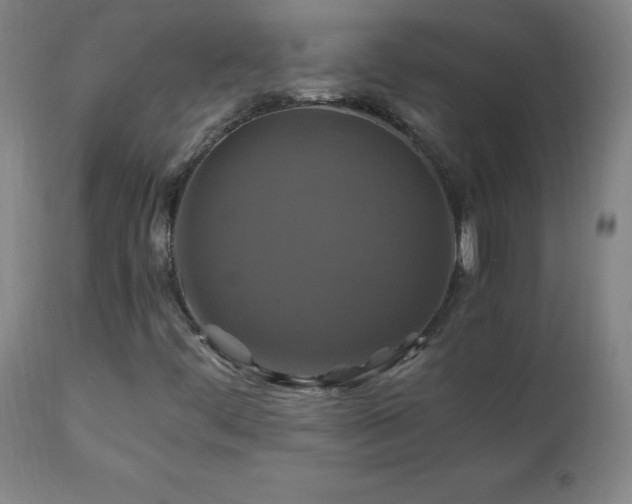 X0000110991444200906191416