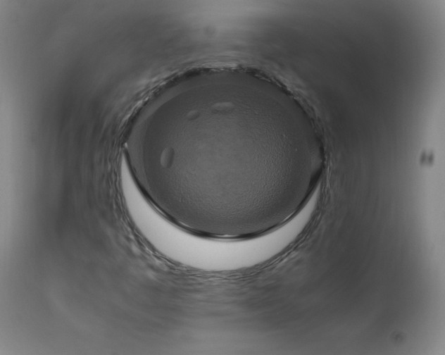 X0000110991445200906191416