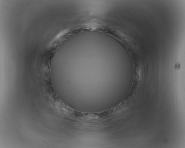 X0000110991446200906191416