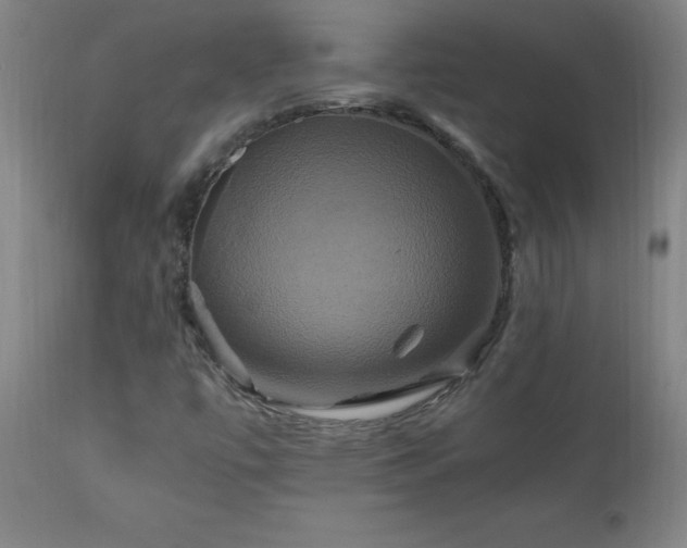 X0000110991447200906191416