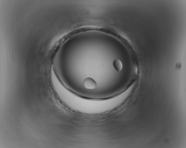 X0000110991448200906191416