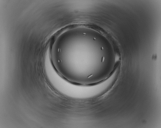 X0000110991449200906191416